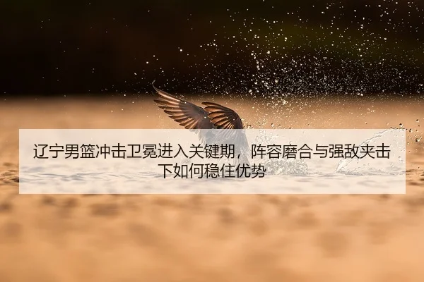 liao-ning-nan-lan-chong-ji-wei-mian-jin-ru-guan-jian-qi-zhen-rong-mo-he-yu-qiang-di-jia-ji-xia-ru-he-wen-zhu-you-shi-3-470.jpg
