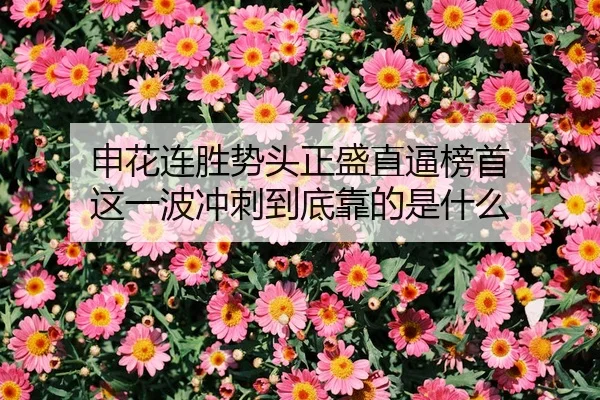 shen-hua-lian-sheng-shi-tou-zheng-sheng-zhi-bi-bang-shou-zhe-yi-bo-chong-ci-dao-di-kao-de-shi-shen-me-2-701.jpg