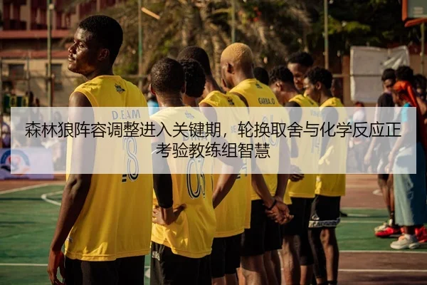 森林狼阵容调整进入关键期，轮换取舍与化学反应正考验教练组智慧